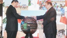 CPEC, Chinese Ambassador, China Pakistan Economic Corridor, controversy, Pakistani journalist, Muhammad Lijian Zhao, Cyril Almeida