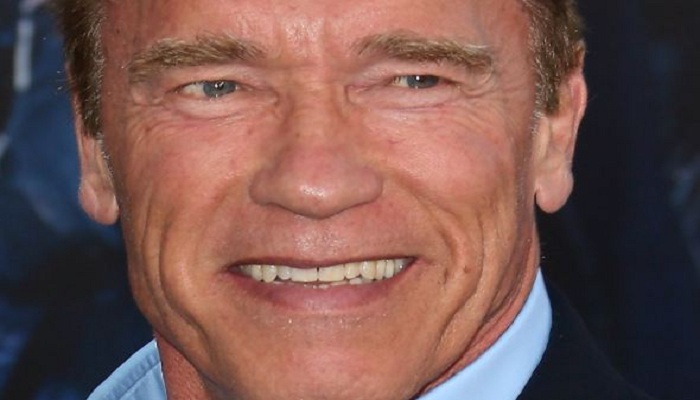 Arnold Schwarzenegger, bird, The Apprentice, Donald J Trump, video