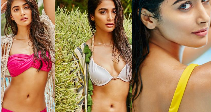 Pooja Hegde, bikini, photos, pics, photoshoot, latest pictures, movies, Mohenjo Daro, Bollywood